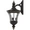 Quoizel Devon Outdoor Wall Lantern DE8961IB - alternate 2